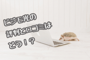 ビジモ光評判画像