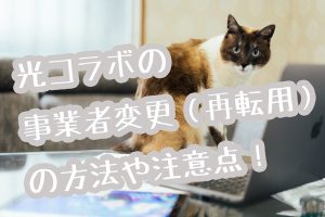 再転用画像