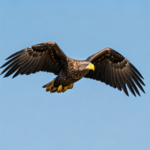 らくらくモバイルの料金は高い？契約前に知るべき費用と注意点、解約方法まで解説