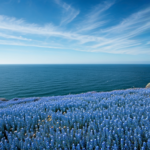 KCNが繋がらない?原因と3ステップの確認方法から問い合わせ、解約まで徹底解説