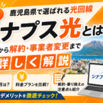 【評判】シナプス光とは?料金から解約・事業者変更まで詳しく解説